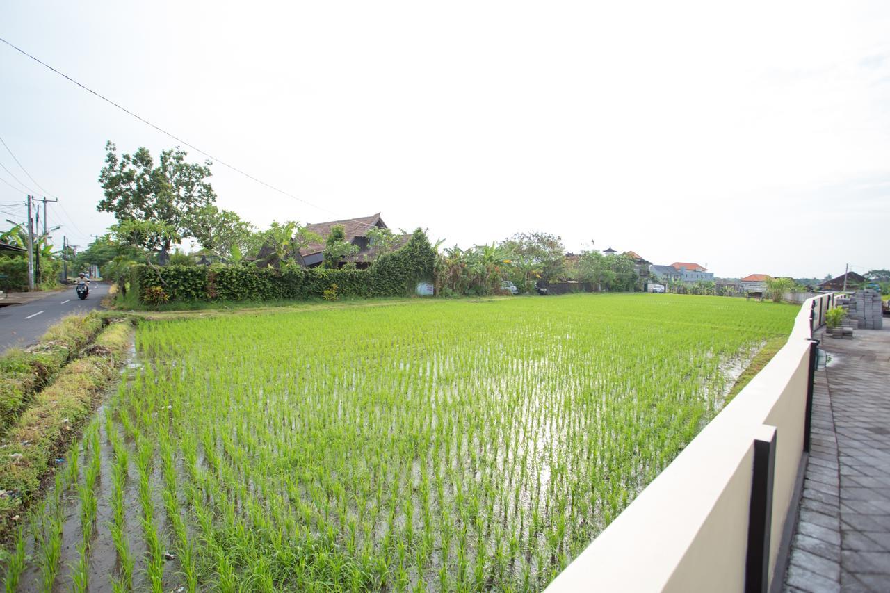V Canggu Dormitory 外观 照片